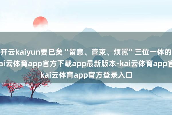 开云kaiyun要已矣“留意、管束、烦嚣”三位一体的协同效应-kai云体育app官方下载app最新版本-kai云体育app官方登录入口