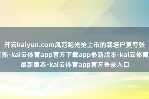 开云kaiyun.com风范跑光抢上市的栽培户更夸张用多样技能技巧催熟-kai云体育app官方下载app最新版本-kai云体育app官方登录入口